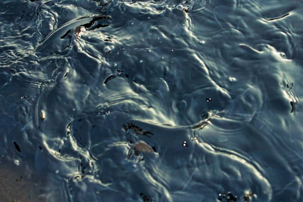 水と魚の背景黒と青 — ストック写真