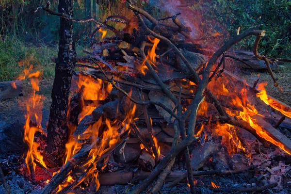 Ognisko Temazcal Kamienie Ogień Drewno — Zdjęcie stockowe