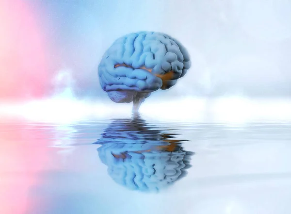 Sanal Beyin Yapay Zeka Yapay Zeka Kavramı Buluttaki Büyük Veriler — Stok fotoğraf