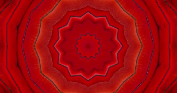Mandala Floral Círculo Sagrado Fundo Vermelho — Vídeo de Stock