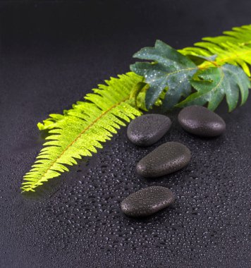 yığılmış ıslak spa taş yeşil yaprak