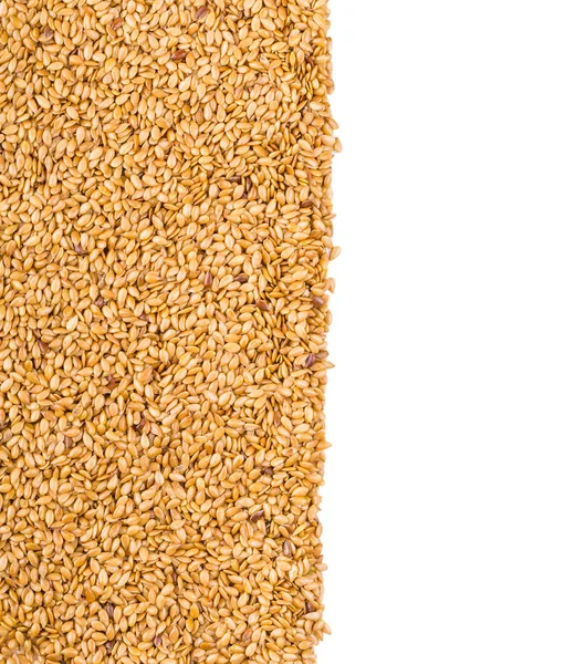 Textura pražených zlatých lněných semen nebo lněných semen — Stock fotografie
