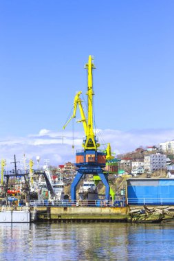 Liman Avacha Bay Kamçatka üzerinde vinç.
