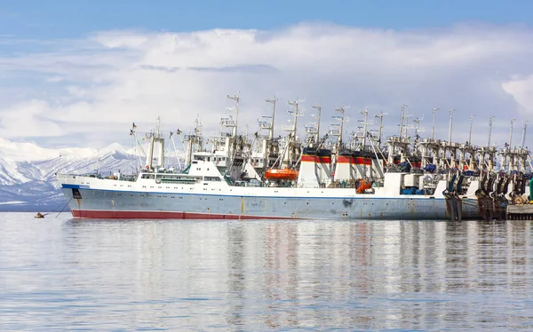 Fishing seiners near the pier in Avacha Bay in Kamchatka. — Stock Photo, Image