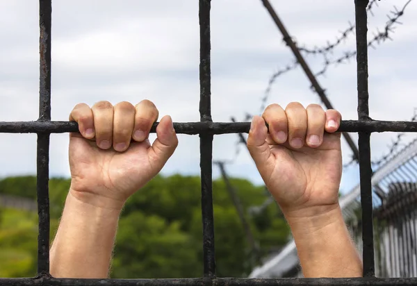 Ruce muže za mříže — Stock fotografie