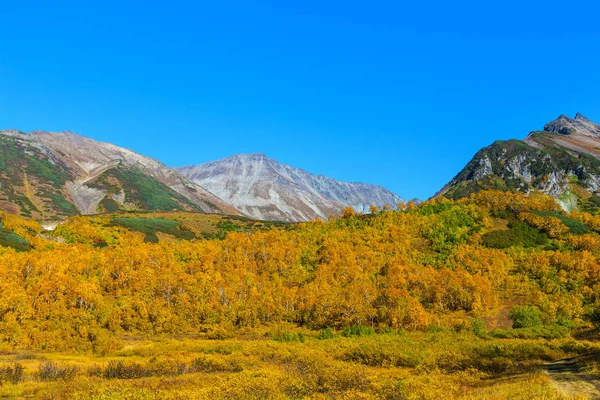 在堪察加半岛上的 Vachkazhets 火山口，在秋天. — 图库照片