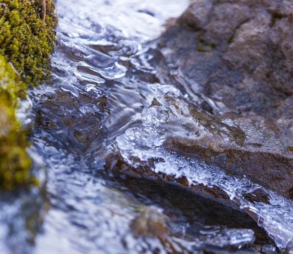 Mountain sippra med is efter nattfrost under hösten. — Stockfoto