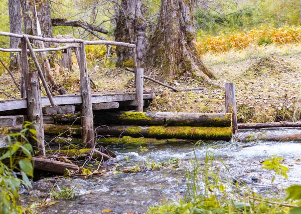 Houten brug over een riviertje in het bos. — Stockfoto