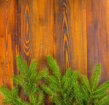 Köknar ağacı dalları sınır kopya alanı ile