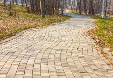 Parkta bir sonbahar günü ile sarma yürüme yolu