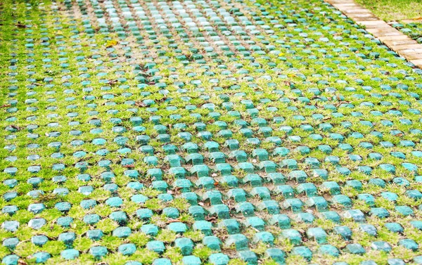 Metallquadrat mit Rasen zum Parken. Nahaufnahme — Stockfoto