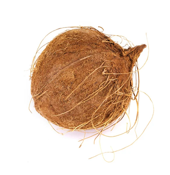 하얀 배경에 고립된 코코넛. — 스톡 사진