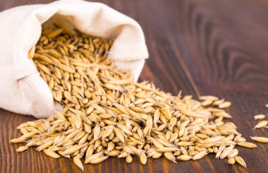 Yulaf kulakları kaynaklanıyor ve koyu kahverengi ahşap arka plan üzerinde çuval bezi çanta