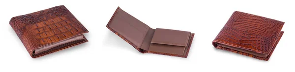 Męskie walletes brązowy Krokodyl na białym tle. — Zdjęcie stockowe