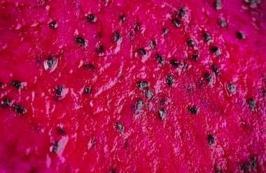 arka planlar ejderha meyve kırmızı dragonfruit 
