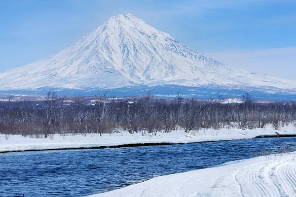 Volcán Koryaksky en la península de Kamchatka en invierno . — Foto de Stock