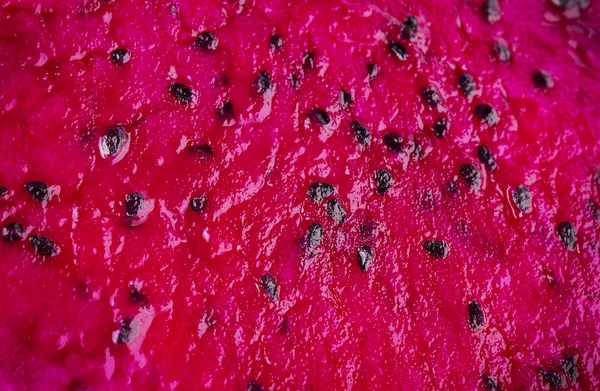 Fundos dragão fruta vermelho dragonfruit — Fotografia de Stock