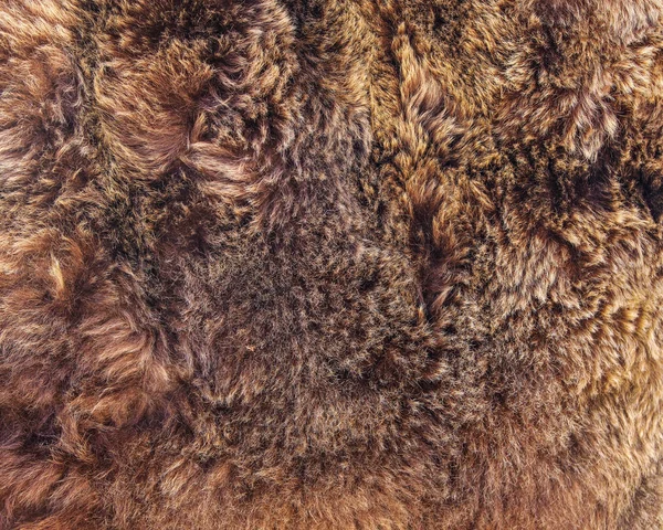 Texture di pelliccia d'orso marrone . — Foto Stock