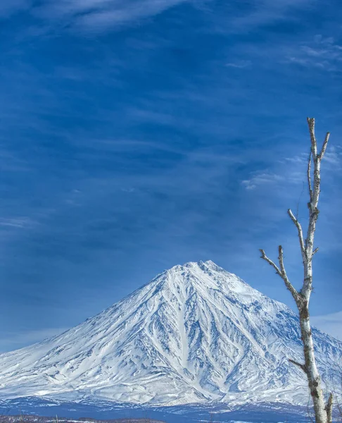 Avachinsky wulkan na Kamczatce i błękitne niebo. — Zdjęcie stockowe