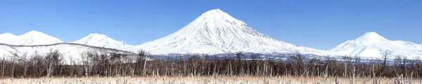 Die Gruppe der Vulkane korjakski, awatschinski, koselski — Stockfoto