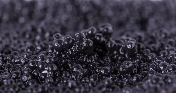 Textura de caviar preto — Fotografia de Stock