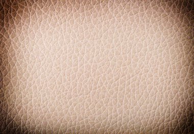 Eski deri dokular. Kapat.