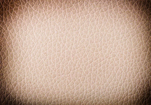 Eski deri dokular. Kapat.