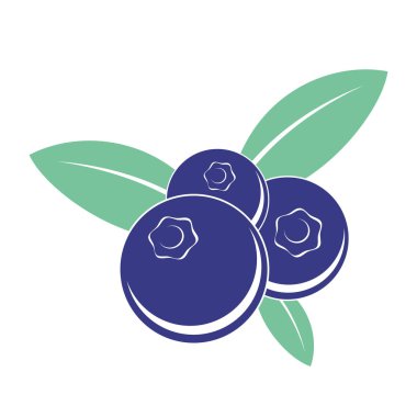 yaban mersini simge vektör