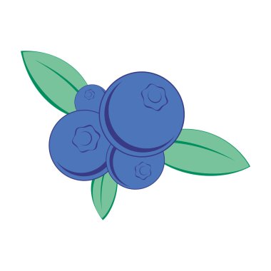 yaban mersini simge vektör