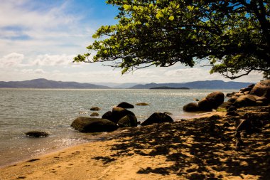 Sahilde ağaçlar ve kayalar manzara