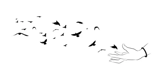 Aves voladoras y siluetas de mano sobre fondo blanco . — Vector de stock