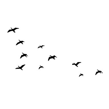 Beyaz arka plan üzerinde uçan kuş silhouettes. Vektör çizim. izole kuş uçan.