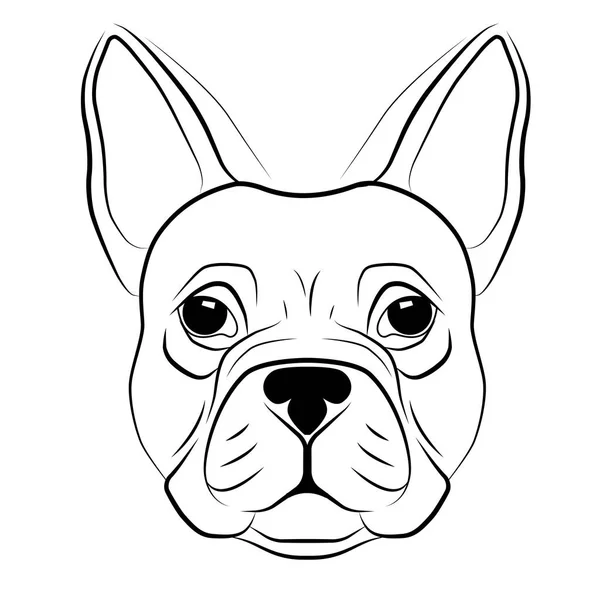 Cabeza de bulldog francés aislada sobre fondo blanco. línea tatuaje diseño animal cabeza. Ilustración vectorial . — Vector de stock