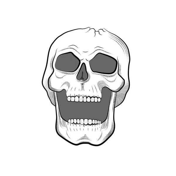 Skull isolated on white background. Vector image. line art style. tattoo graphic. — Stock Vector