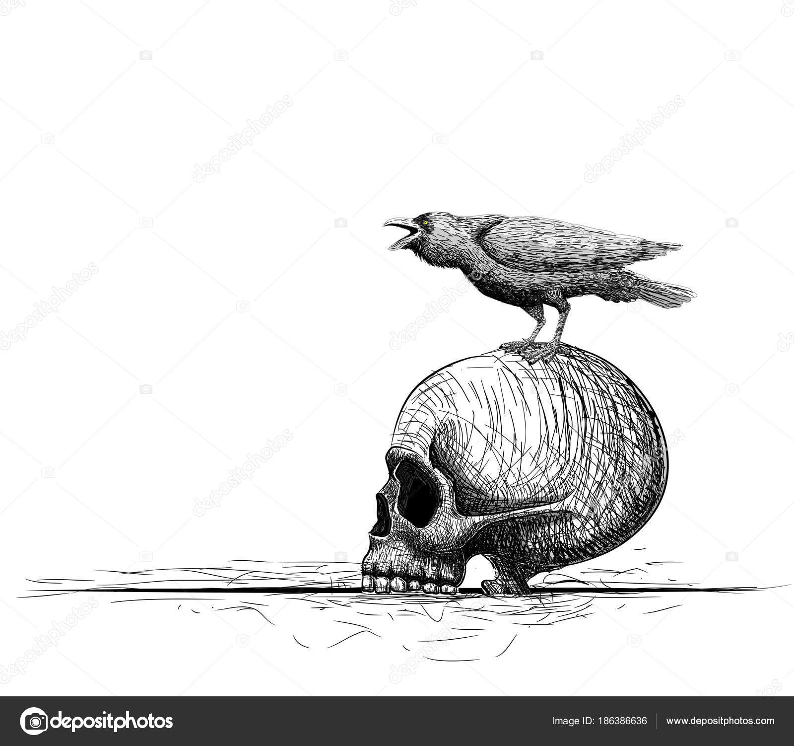 948 ilustraciones de stock de Pájaro muerto | Depositphotos