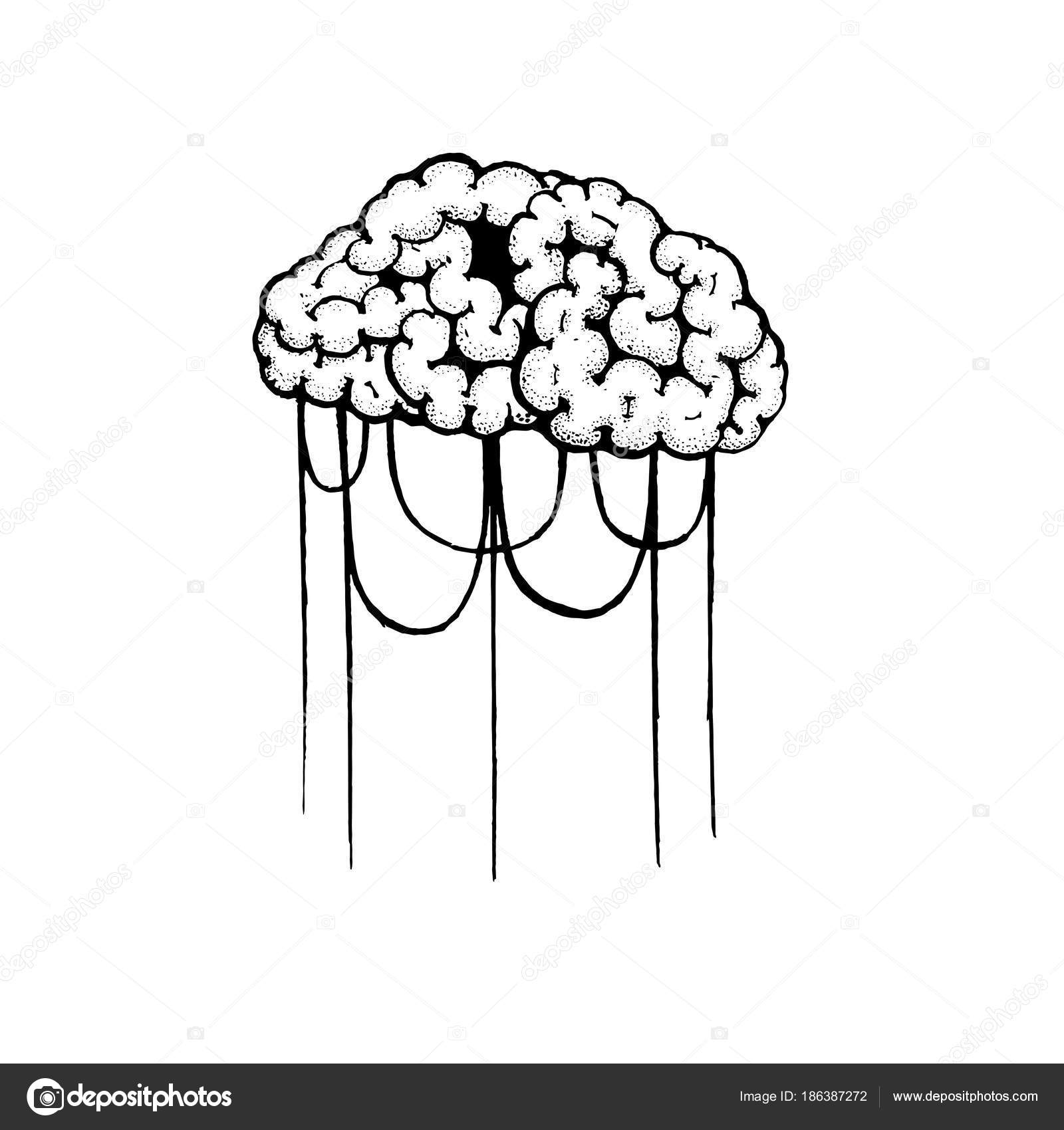 Vector Outline Illustration Of Human Brain And Rope On White Background Hand Drawing Tattoo Design Stock Vector Image By C Seemalotion Vector Outline Illustration Of Human Brain And Rope On White Background Hand Drawing Tattoo Design Stock Vector Image By C Seemalotion