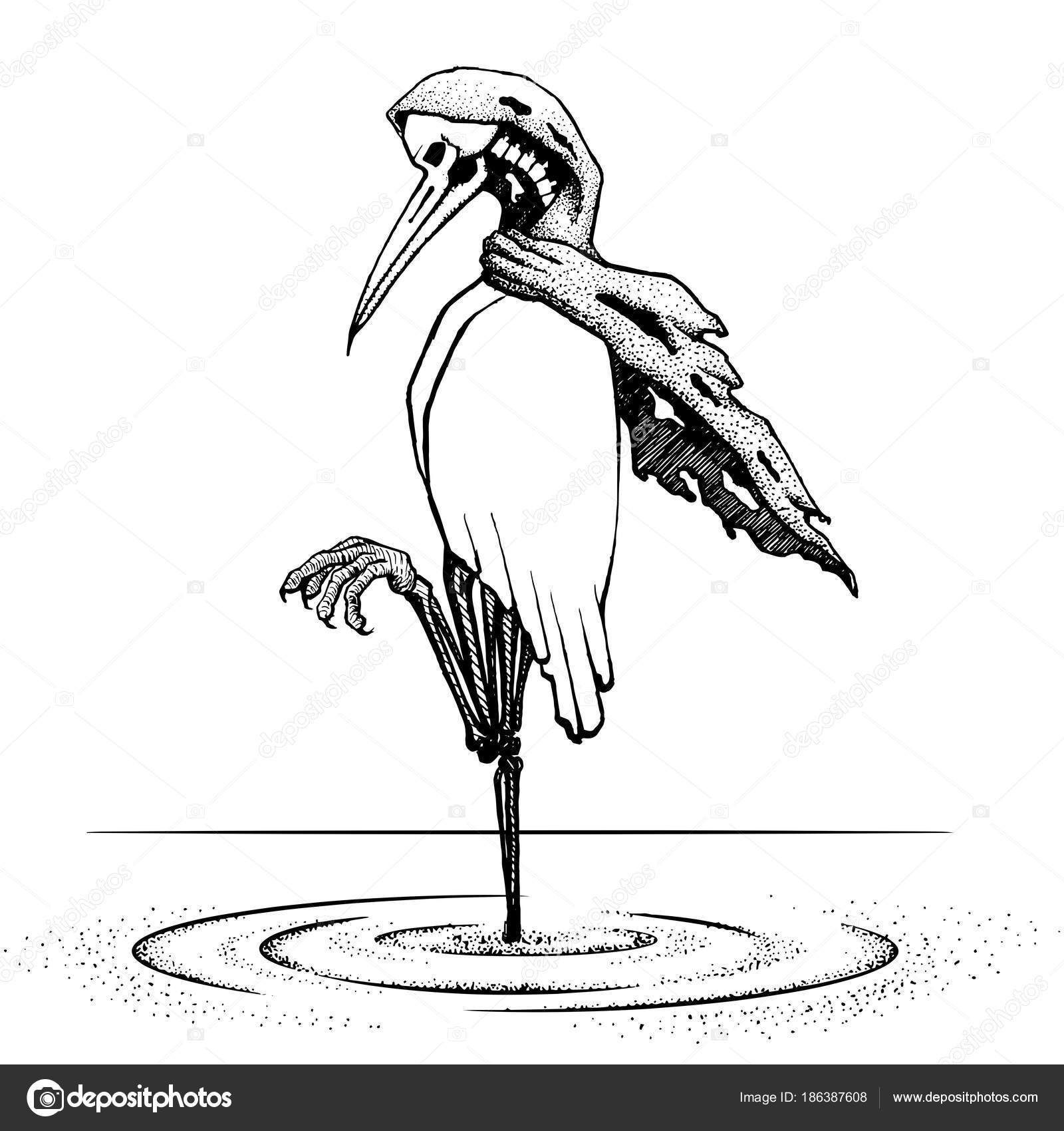 Reiher Vogel Stand Alone Auf Dem Wasser Abbildung Vektor