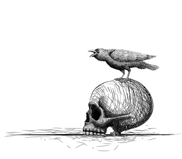 Птица-ворон на черепе. изолированы на белом. Векторное искусство ручной работы. Векторная иллюстрация. линейная художественная композиция . — стоковый вектор
