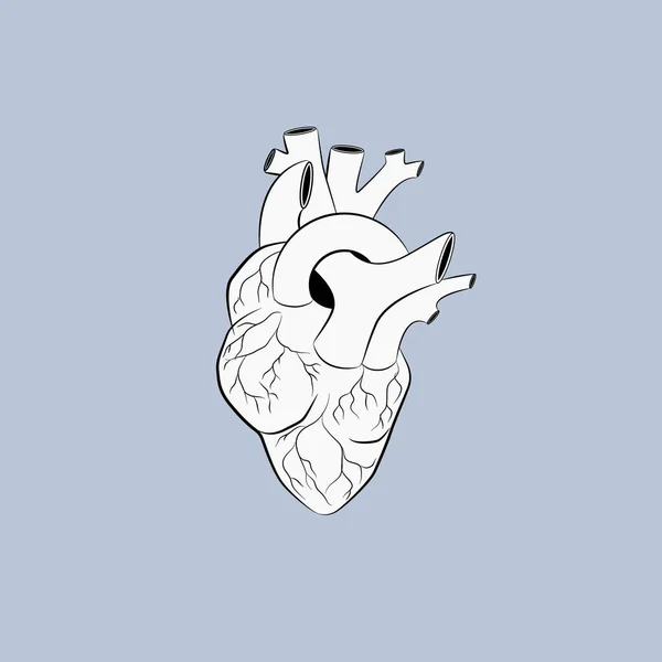 Corazón sobre fondo de color pastel cielo azul. vector de ilustración con silueta de línea. línea arte tatuaje diseño gráfico. simple para el tatuaje mínimo. vector aislado . — Vector de stock