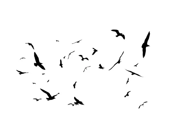 Fliegende Vögel Silhouetten auf weißem Hintergrund. Vektorillustration. isolierter Vogelflug. — Stockvektor