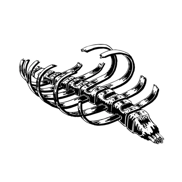 Human Rib Cage Broken Vector Hand Drawn Illustration Vector Skeleton — Stock Vector