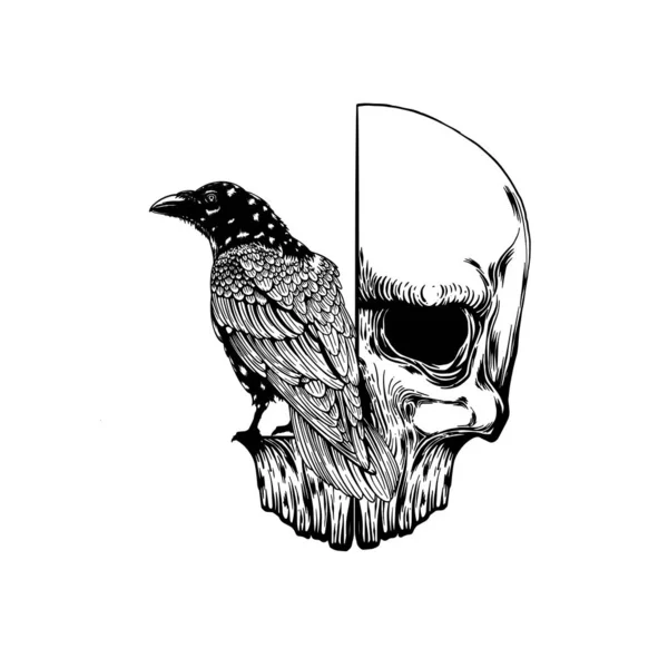 Cuervo en el cráneo aislado en blanco. Arte vector dibujado a mano. Ilustración vectorial de bocetos. Ilustración vectorial vintage. diseño del tatuaje . — Vector de stock