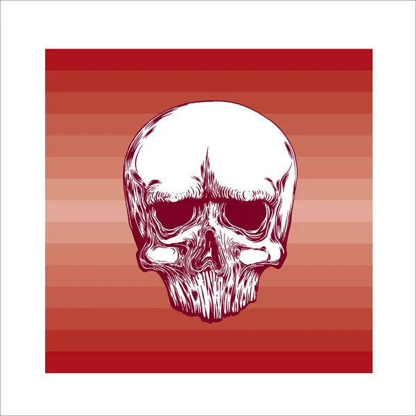 Anatomic Skull Vector Art Illustration Détaillée Dessinée Main Crâne Bouche — Image vectorielle