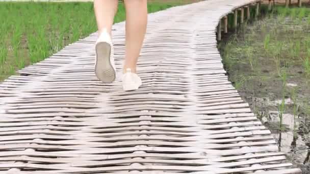 Close Slow Motion Left Shoes Walking Park Sunny Summer Day — ストック動画