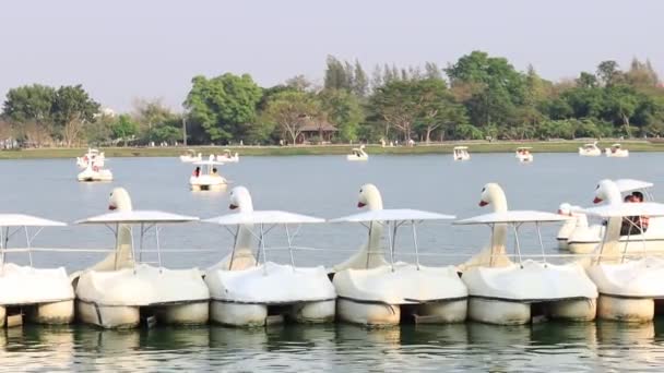 Duck Boat Pedalo Paddle Goose Boat Public Lake Park Suanluang — Stock Video