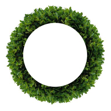 Yeşil yapraklar çerçeve beyaz arkaplanda izole