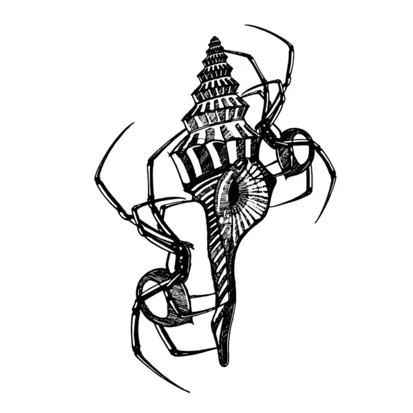 Иллюстрация Паука Морской Скорлупы Ручной Рисунок Векторного Иллюстратора Линейное Искусство — стоковый вектор
