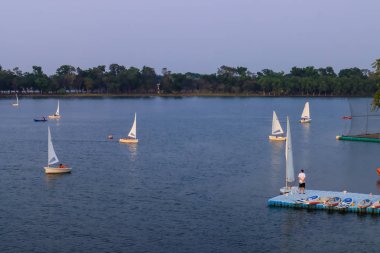 Gölden ayrılan beyaz yelkenlilerin hava manzarası.