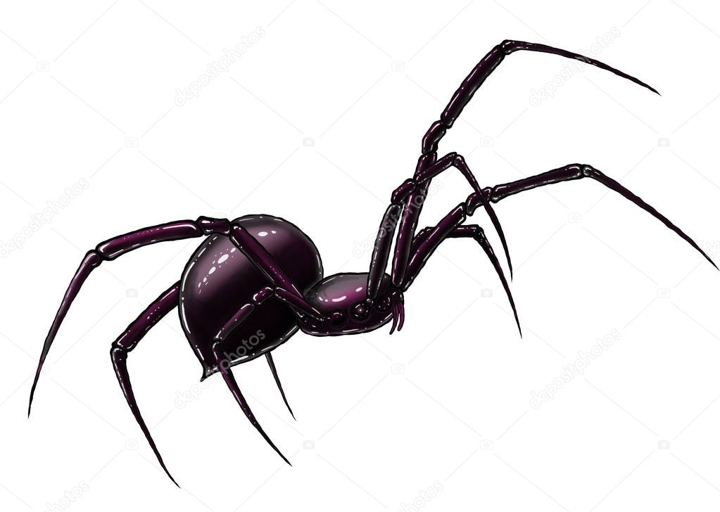 Black spider hand drawing. line art illustration. isolated on white background. tattoo design. Isometric of spider icon for web design.