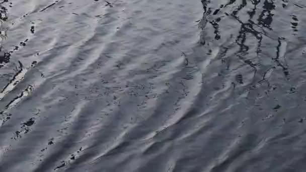 Water Surface Close View Reflective Water Surface Waves Ripple Sunset — Stock Video